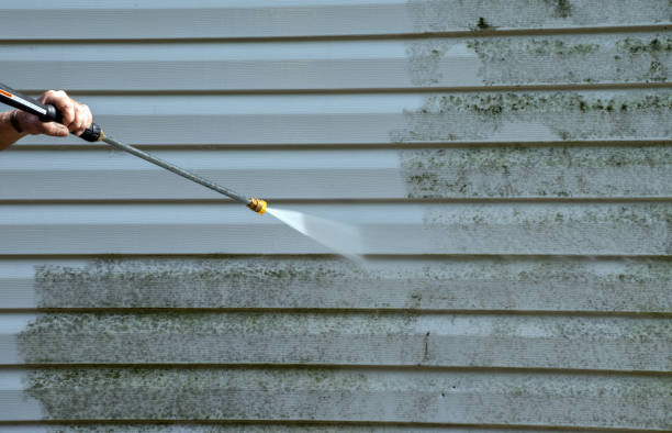 Best Roof Power Washing Services  in Hammond, WI