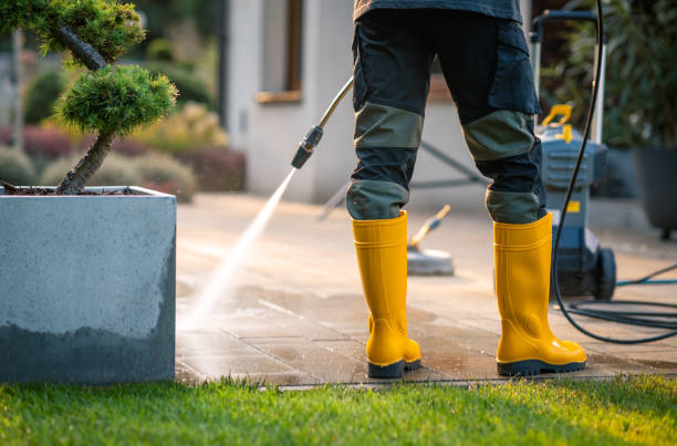 Best Exterior Home Cleaning  in Hammond, WI